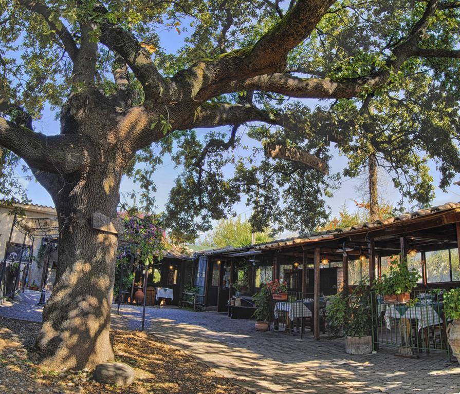 La Vecchia Quercia Bed & Breakfast Selci  ภายนอก รูปภาพ